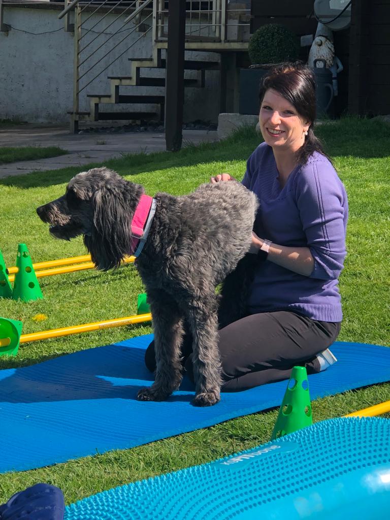 Mobile Hundephysiotherapie dog-movement.de