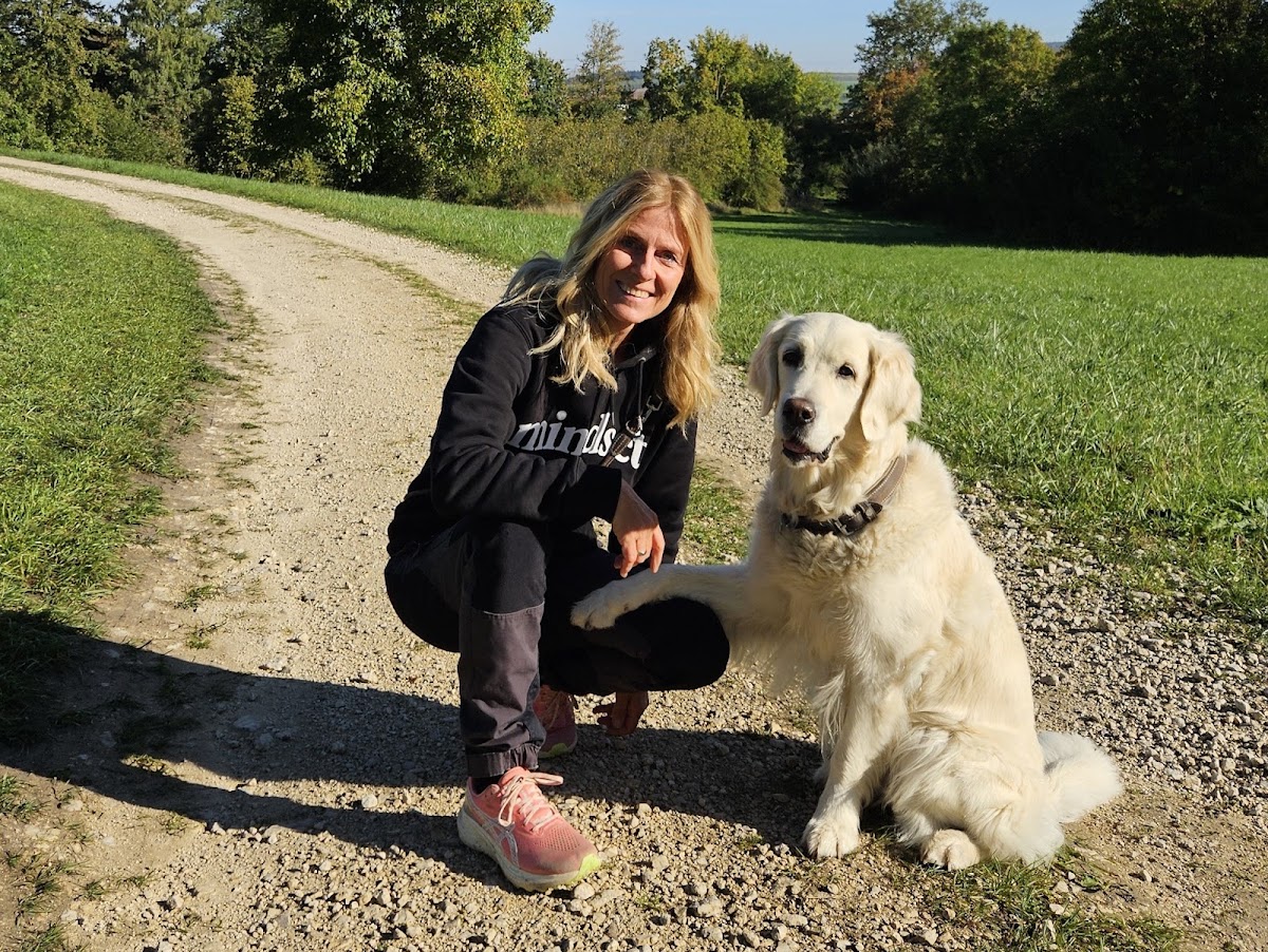 TeampartnerHund