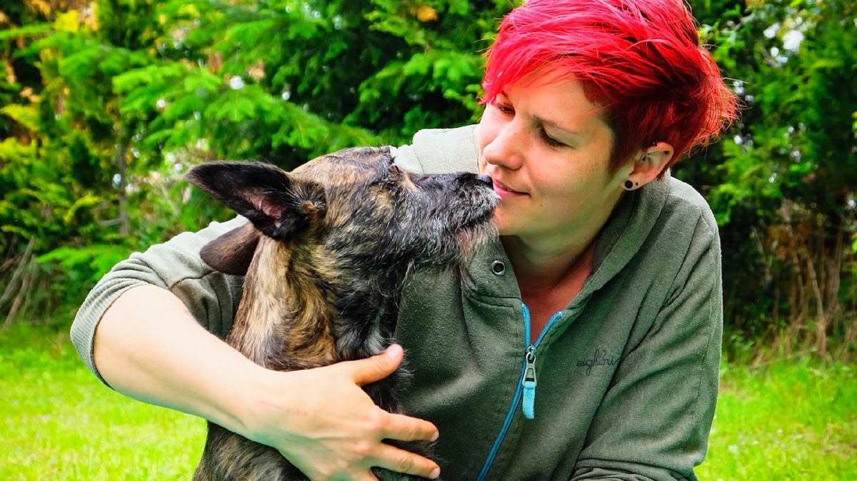 Tiertherapie Bergauf Hundephysiotherapie Sporthundetherapie Tierosteopathie Tierheilpraxis Tierakupunktur TCM TCVM