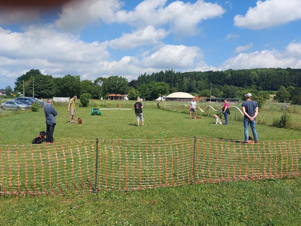 Hundeschule Mensch&Hund-Team