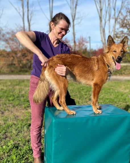 Animal Chiropraktik Freising