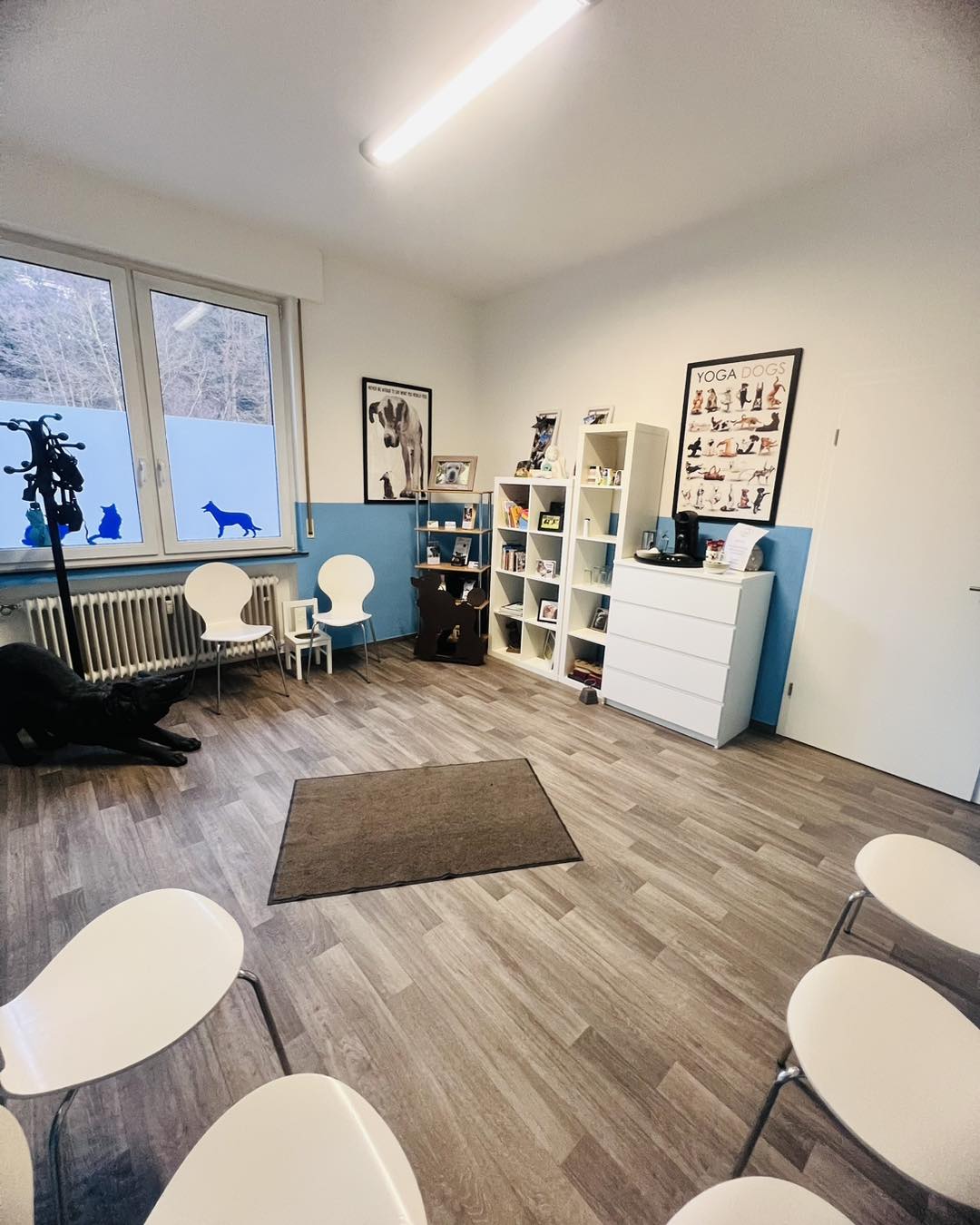 ALTERVET - Zentrum für Tierphysiotherapie Mara Hampel