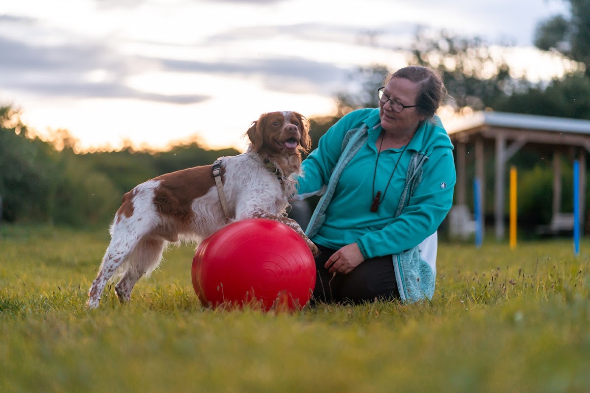 Hundephysiotherapie Altenbeken Gabriele Adam