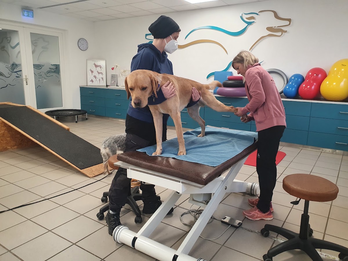 Tierphysiotherapiezentrum LoMi