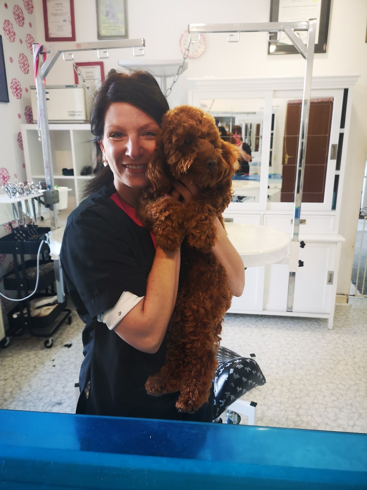 Hundefriseur Jules Home Spa for dogs