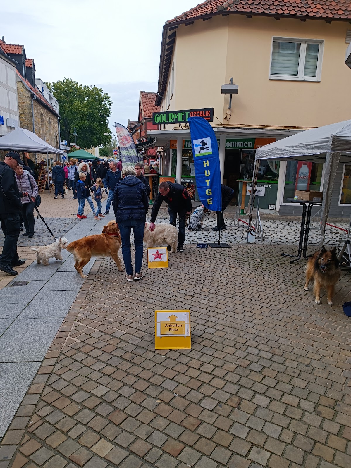 Holger Krzywda "Hunde-Trainings-Gemeinschaft e.V."