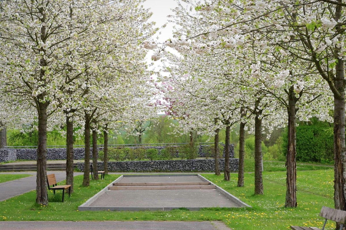 Generationenpark Brakel