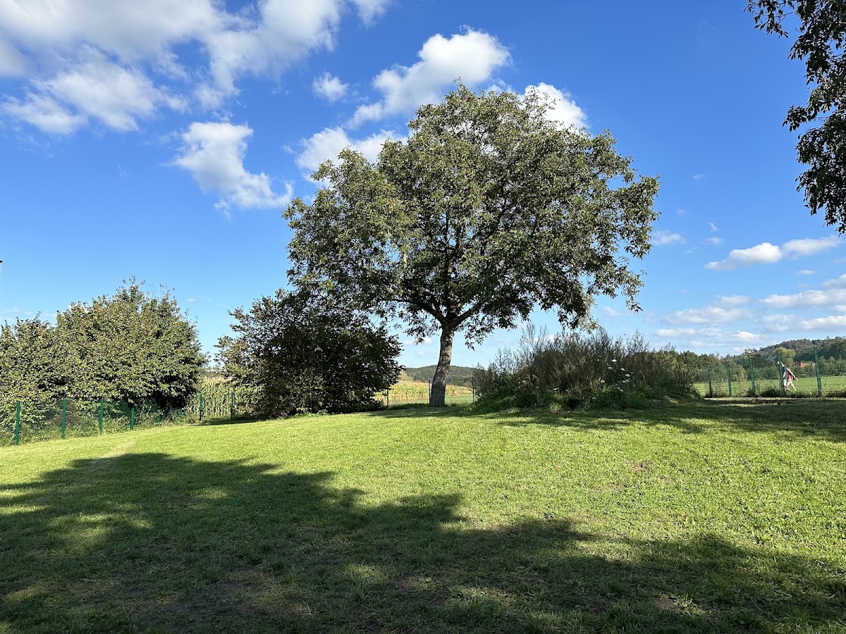 Hundefreilaufwiese Hundefreunde Pium e.V.