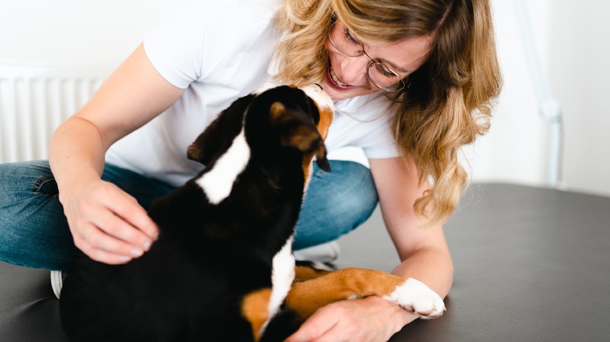 Hundephysiotherapie - Marie-Theres Schauerte