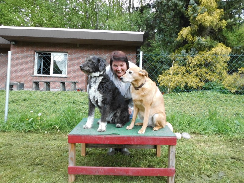 Hundeschule Hundpunkt | Elena Beinsen