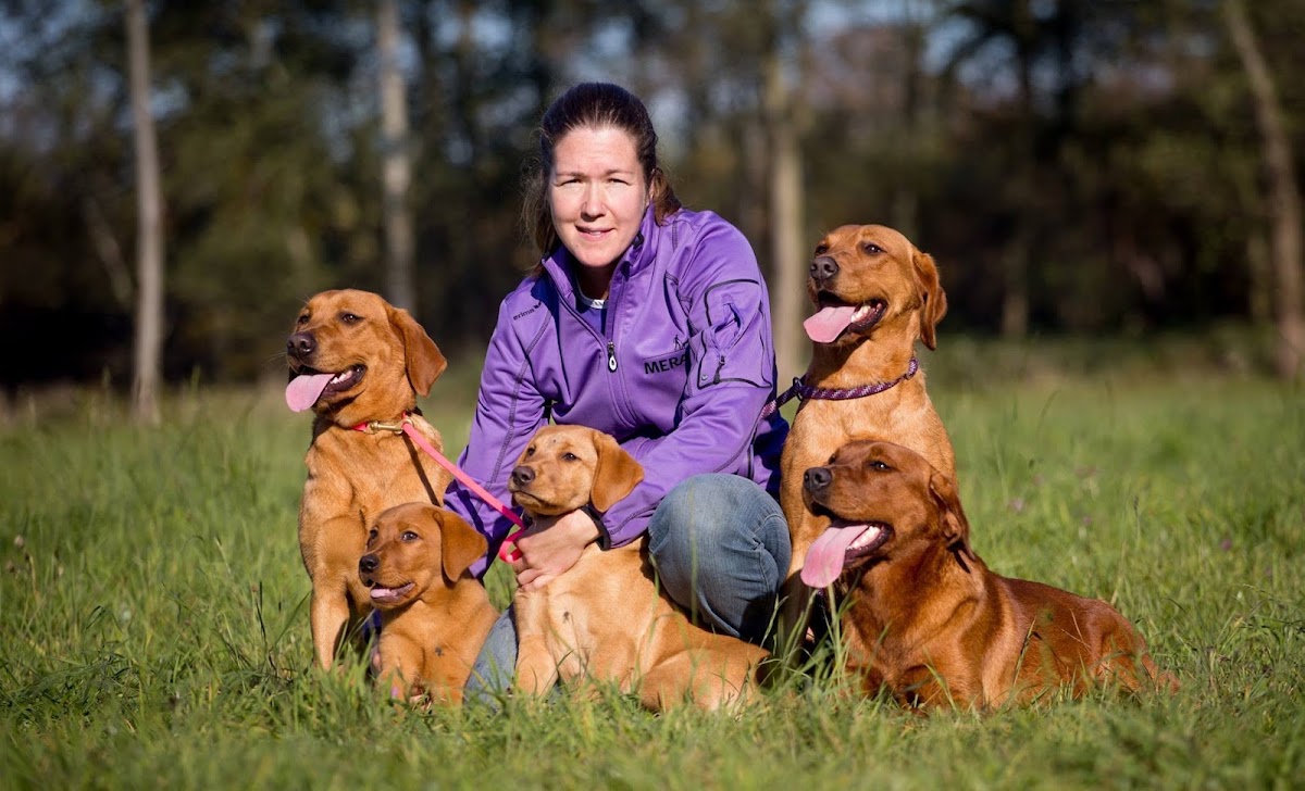 Fifficats Hunde und Katzenpension + Hundefriseur