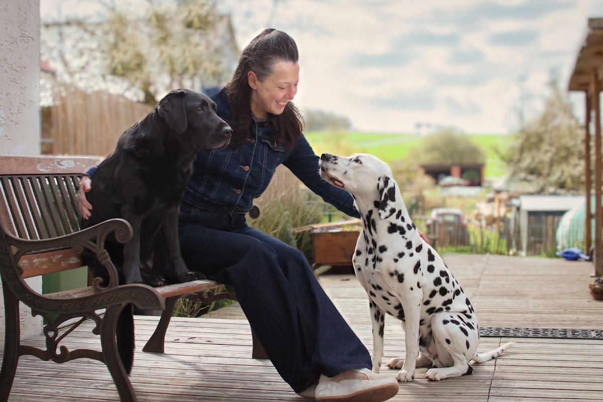 Huta Alma Dogs & Photos