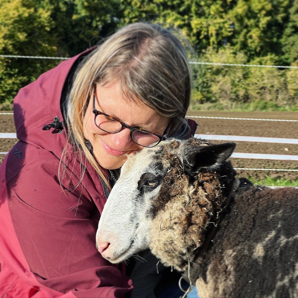 Tierische Glückswege – Katrin Rauber