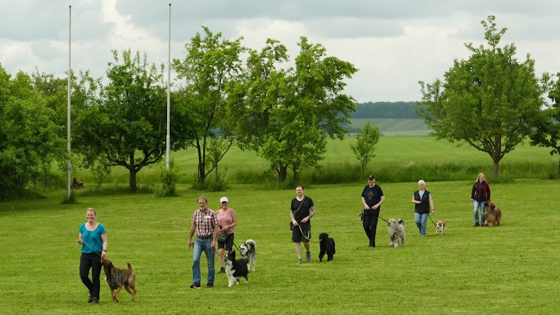 Verein für Deutsche Schäferhunde SV OG Steinheim/Murr e. V. -Vereinsgelände-