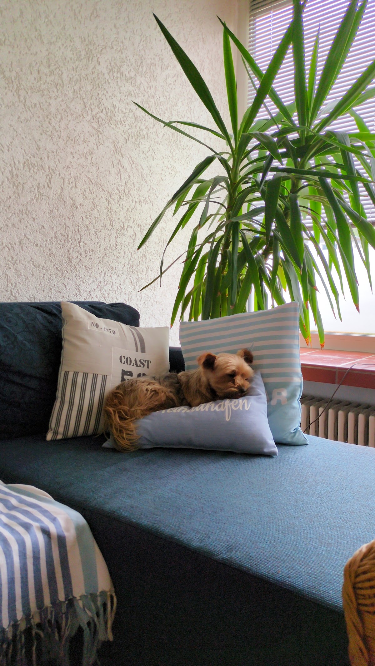 Salon Bunter Hund