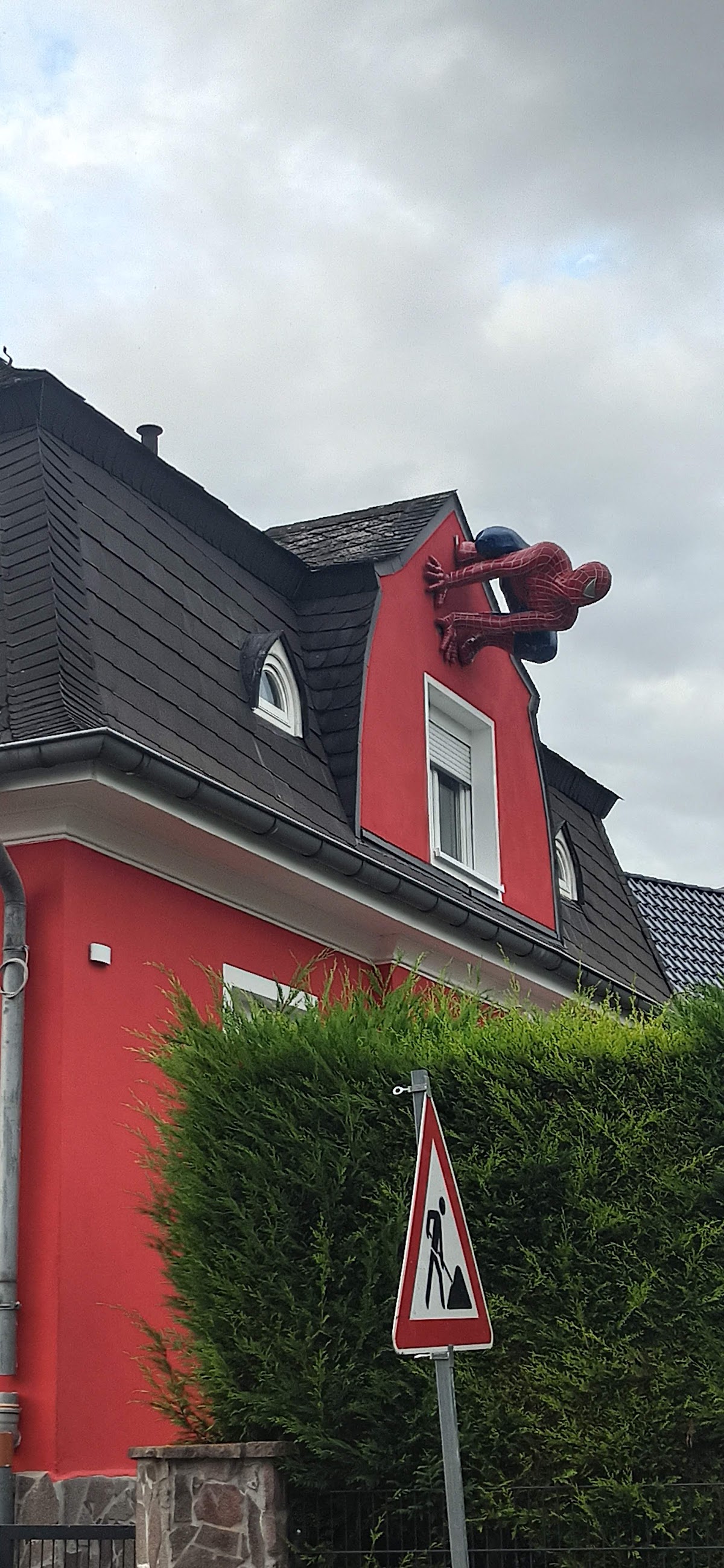 Frauke Gebauer prakt. Tierärztin