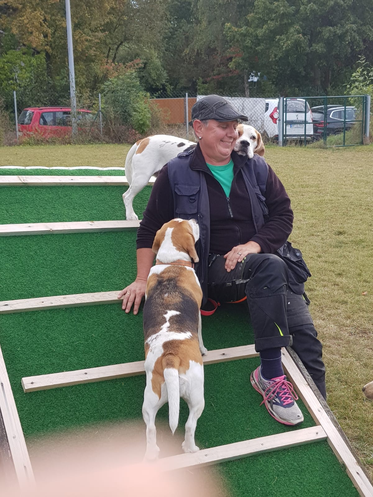 Gillas-Hundetraining