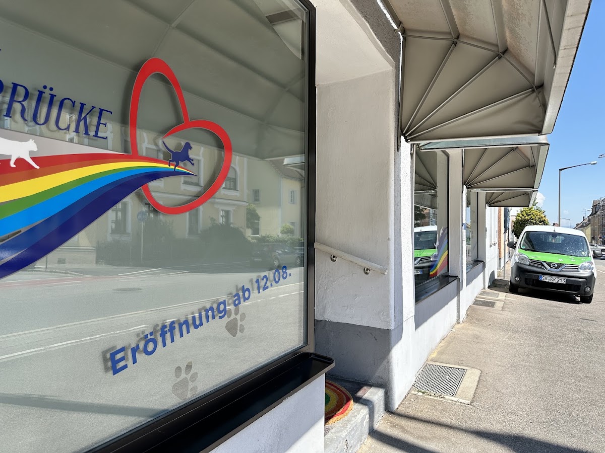 Regenbogenbrücke Tierbestattung