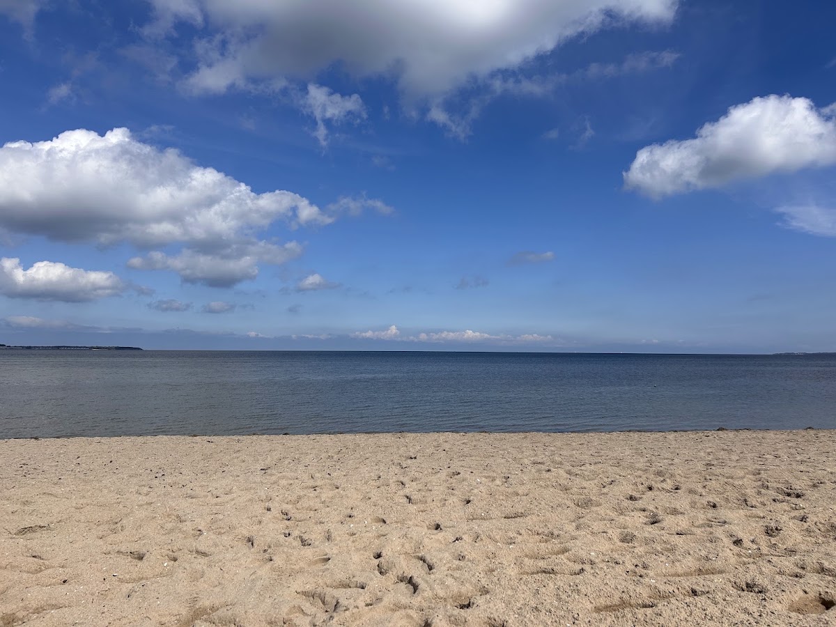 Hundestrand
