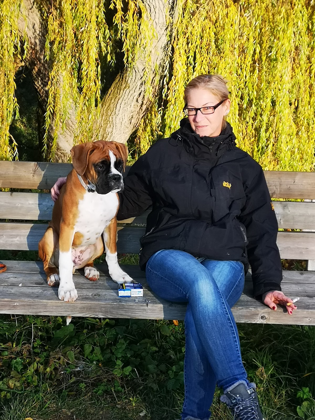 Dr. med. vet. Helmut Gmeiner. Fachtierarzt für Kleintiere