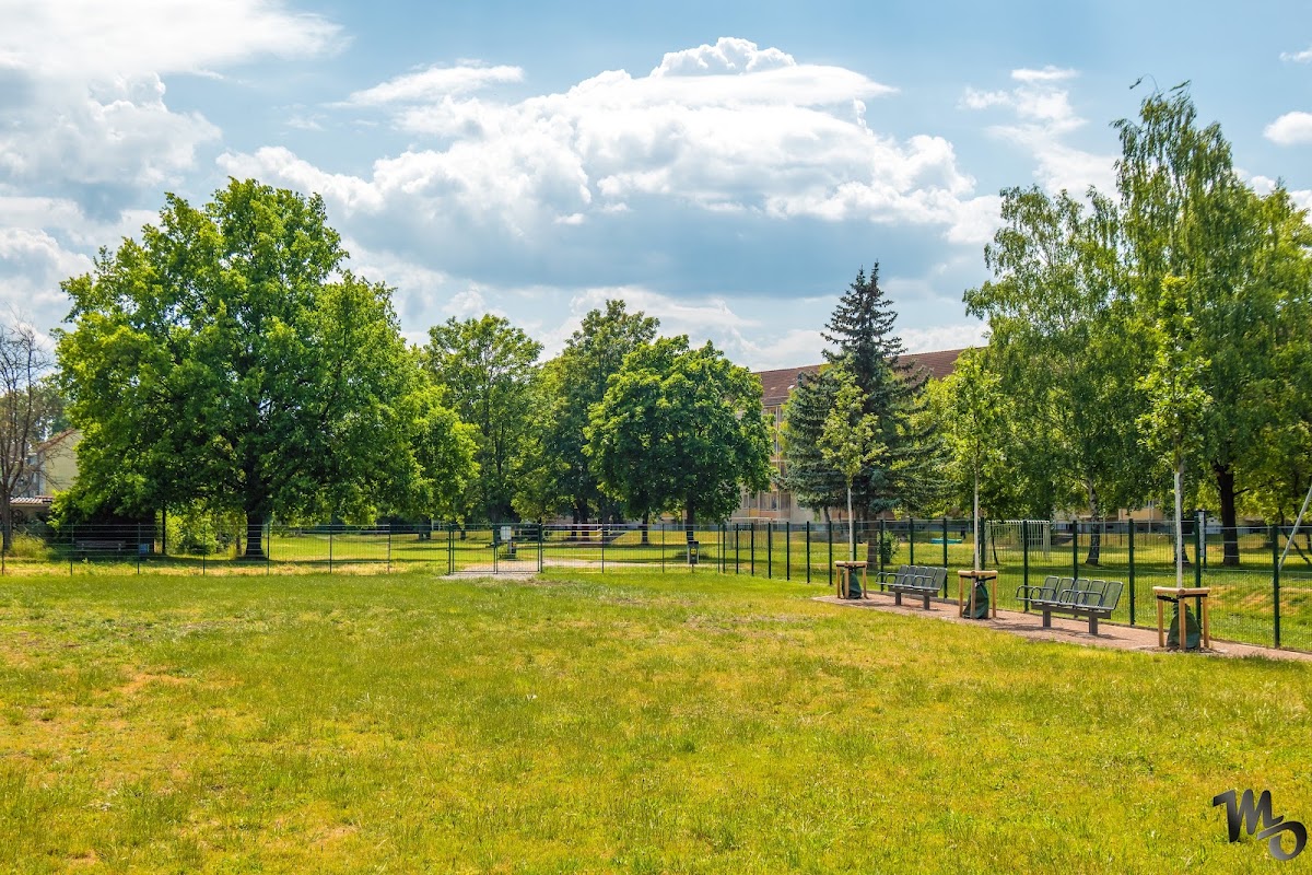 Hundeplatz