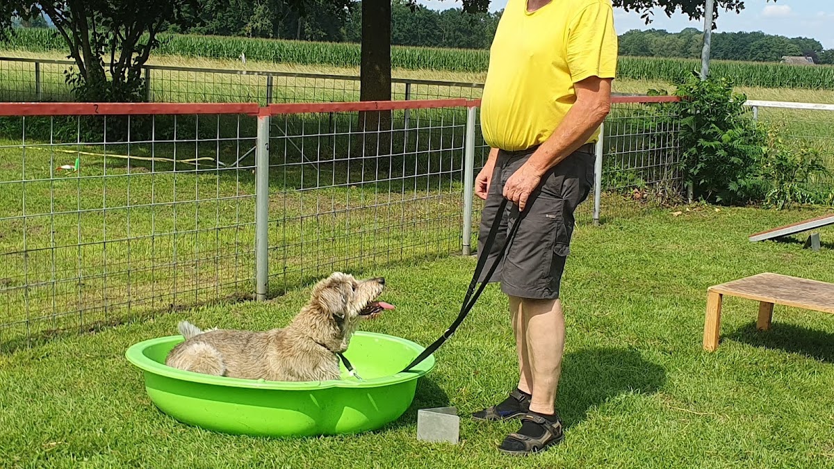 Hundefreunde Versmold