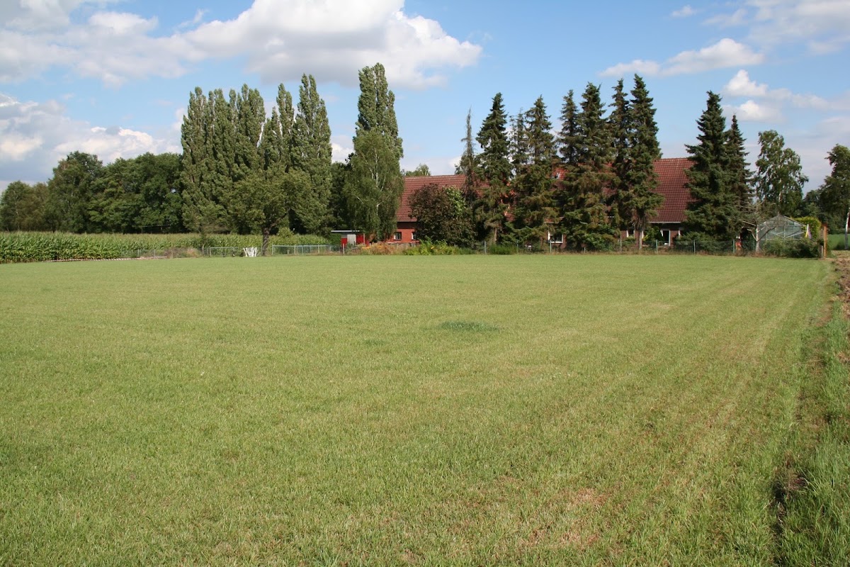 Therapiezentrum für Hunde - Silke Beckmann -