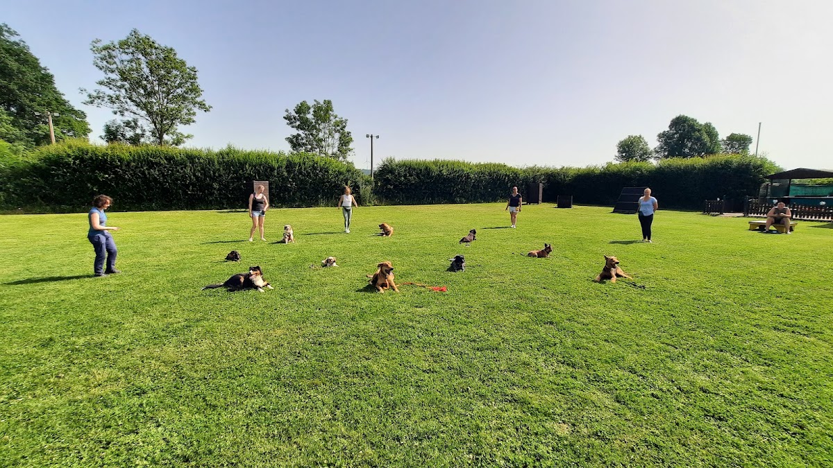 Hundeschule Borgholzhausen