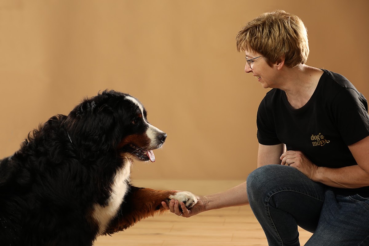 Katrin Rolf Futterberatung für den vitalen Hund