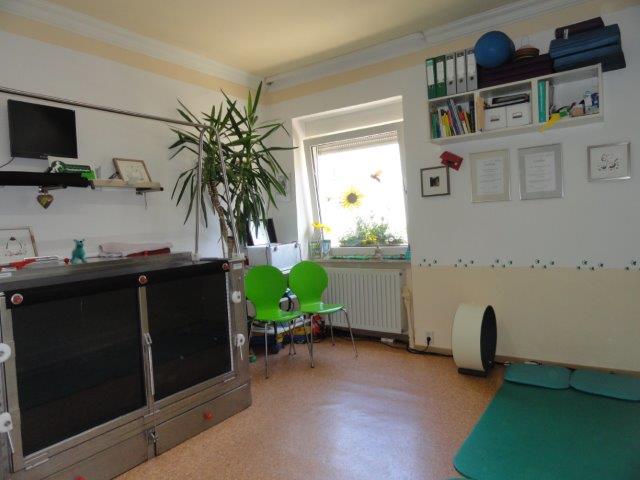 Evi Niederheiser Tierarzt