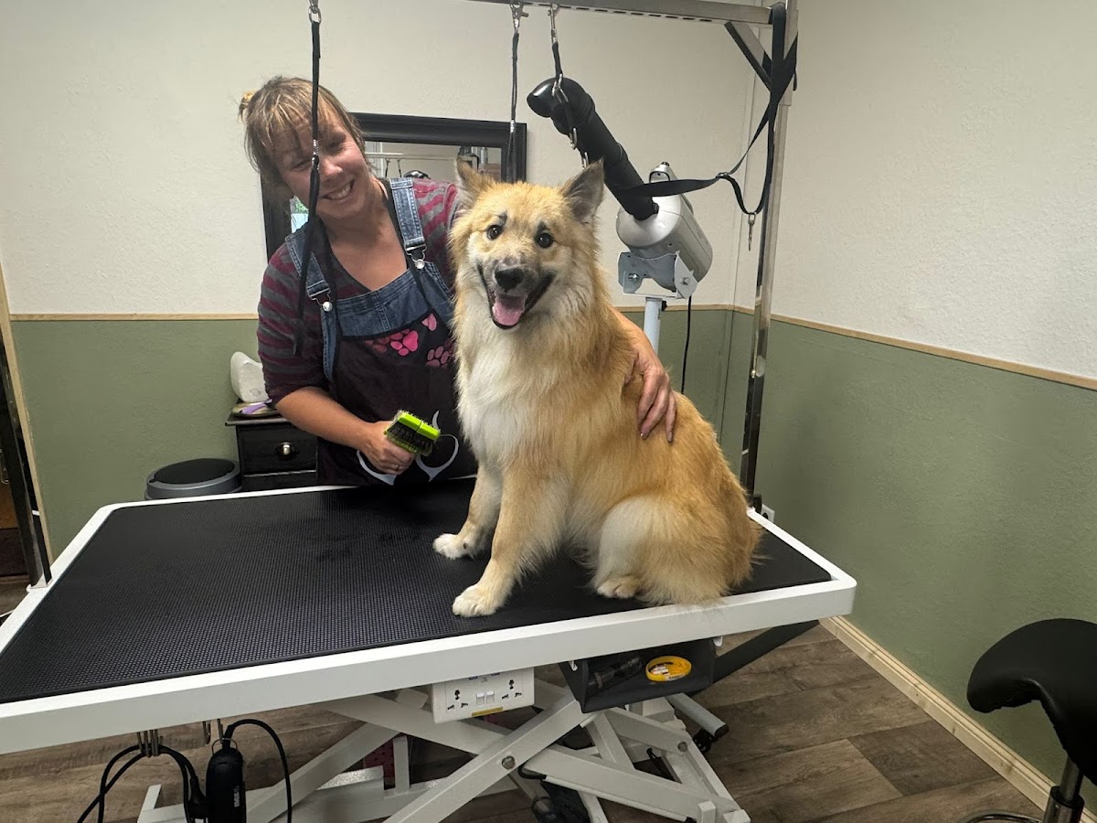 Hairytails Hundesalon