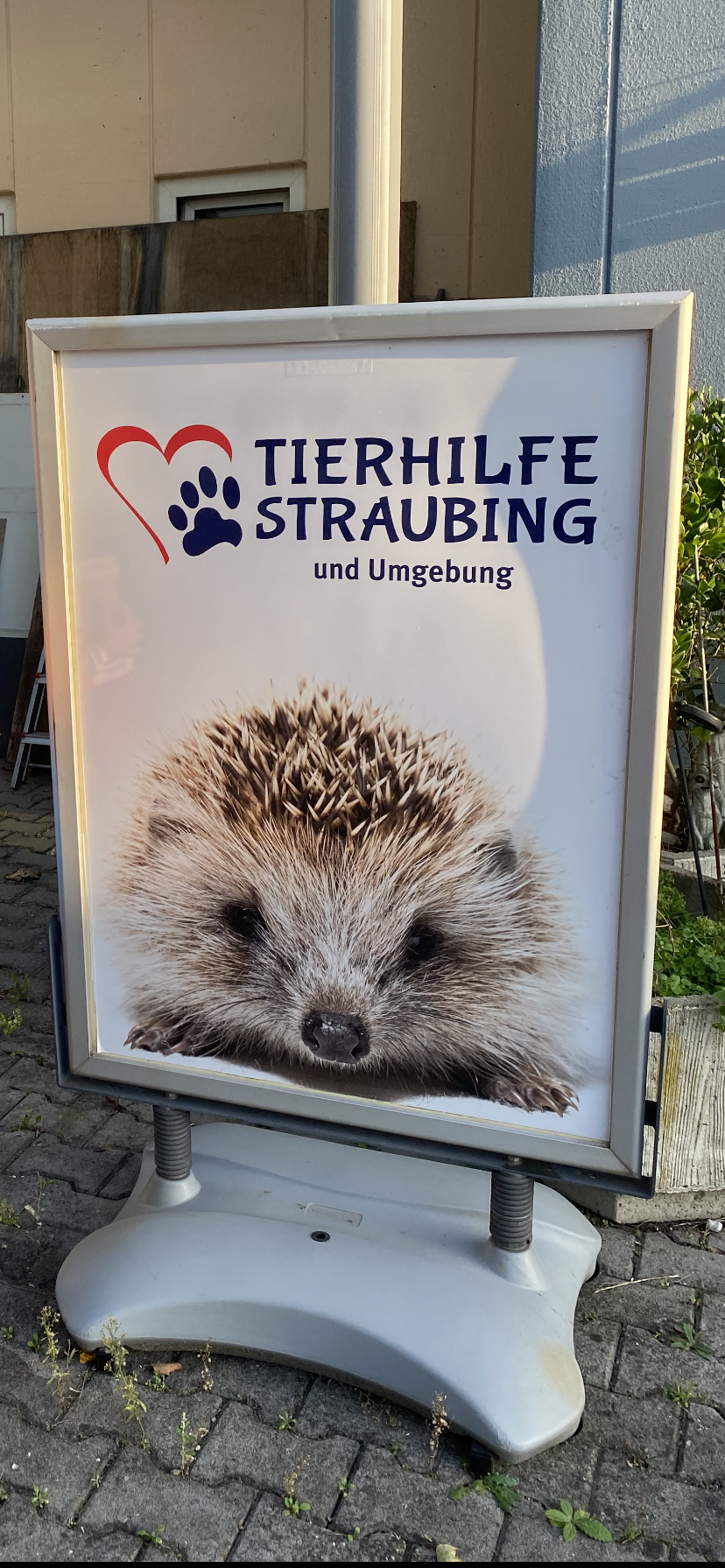 Tierhilfe Straubing und Umgebung
