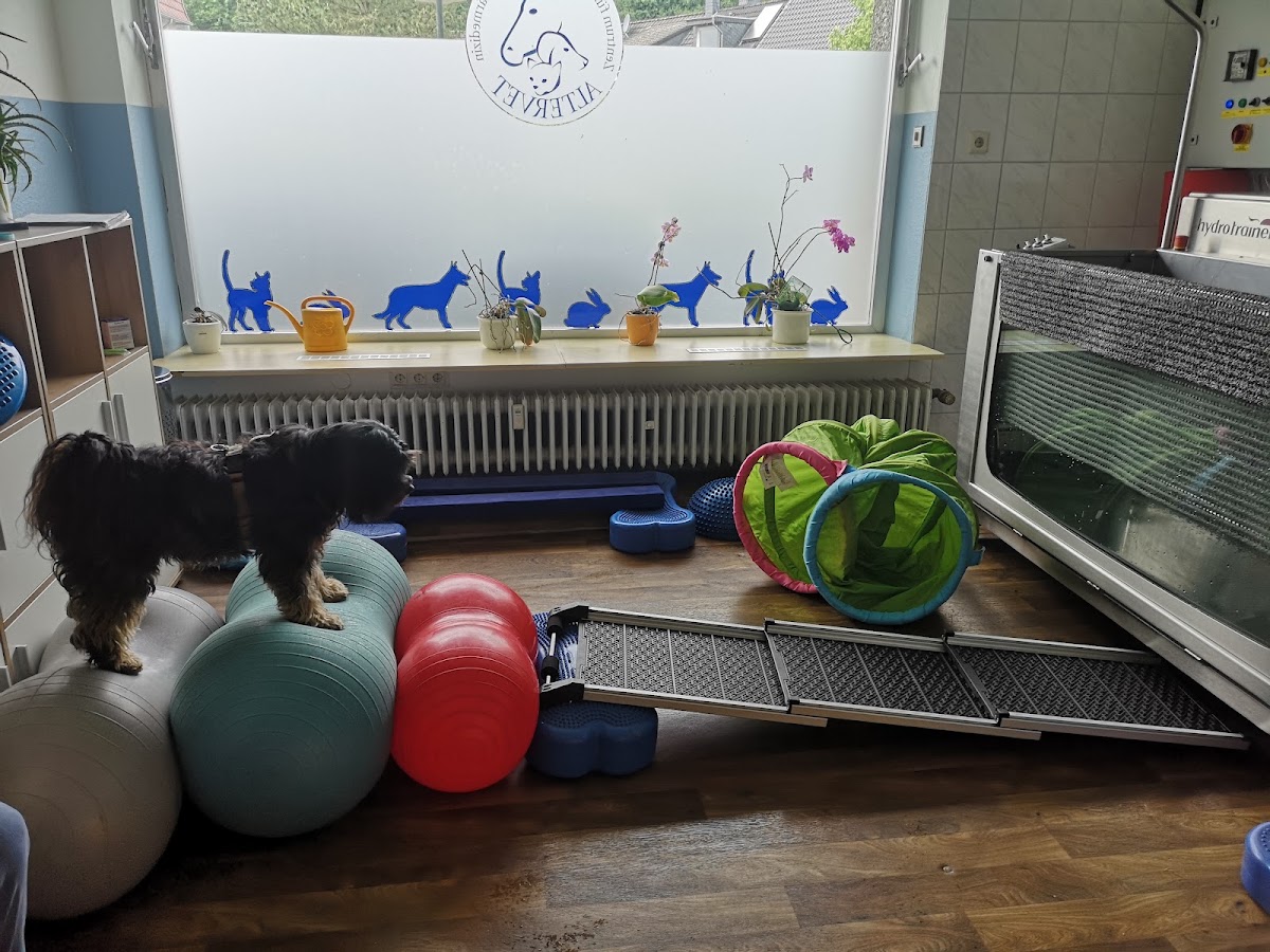 ALTERVET - Zentrum für Hundephysiotherapie Diana Hopfenheit