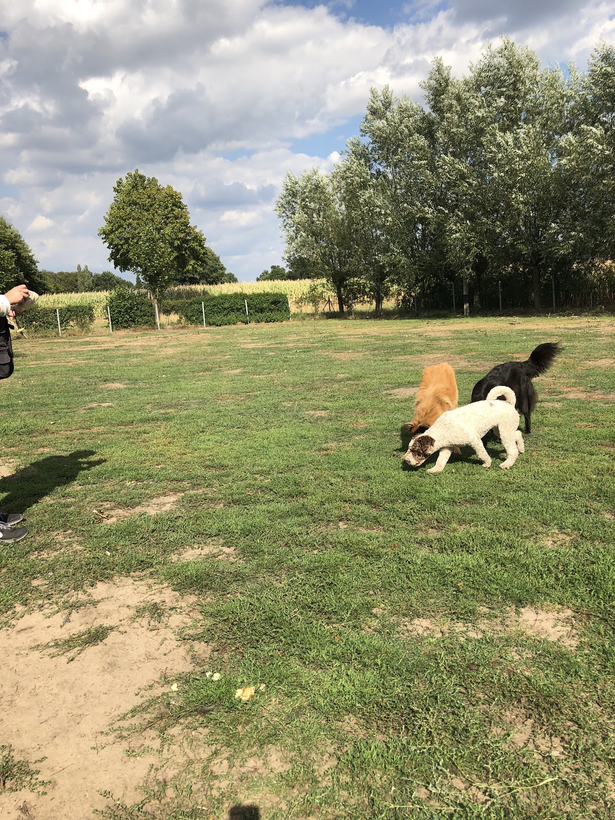 Hundezentrum Nathmann