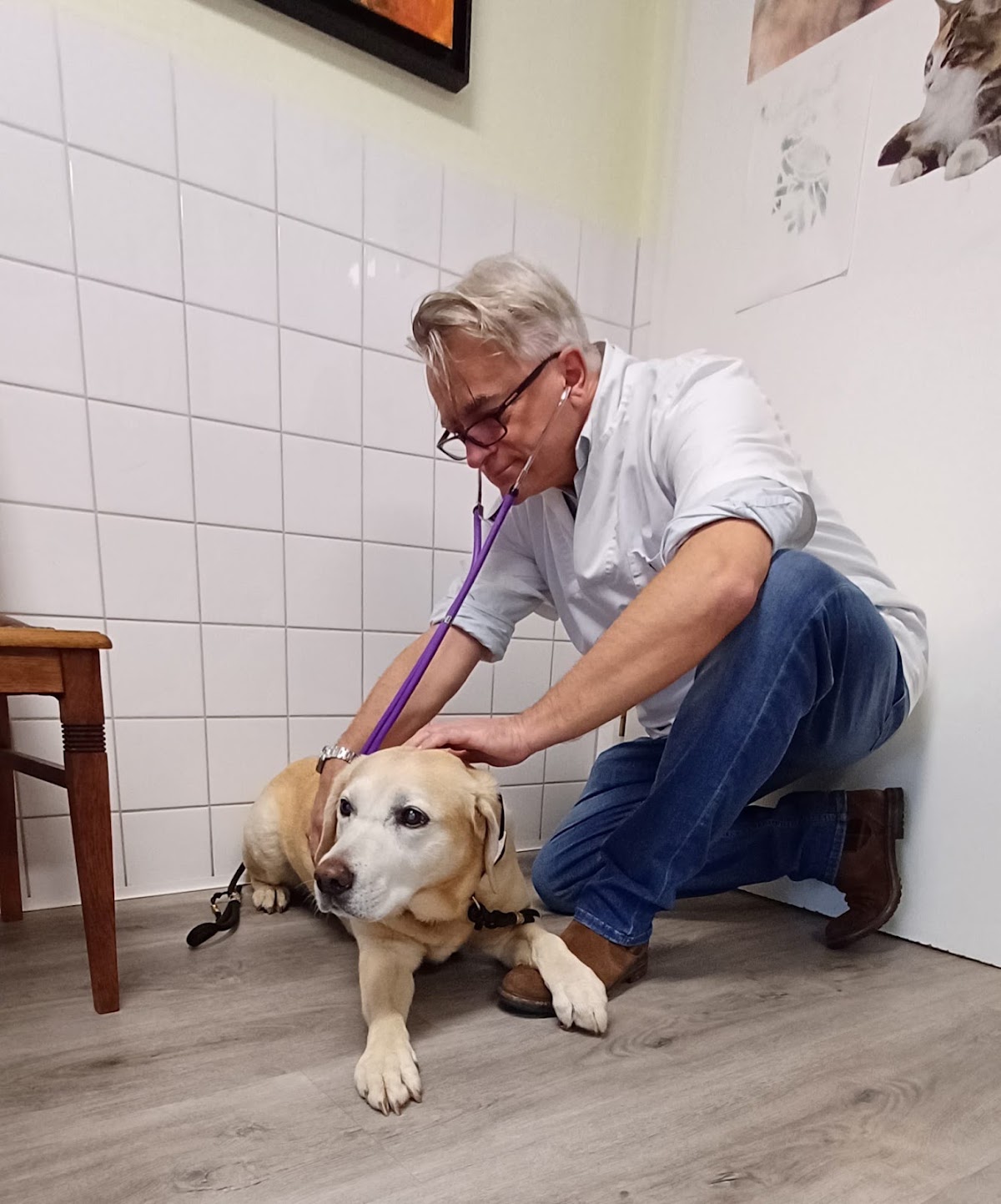 Dr.med.vet. Klaus Eckert Tierarzt