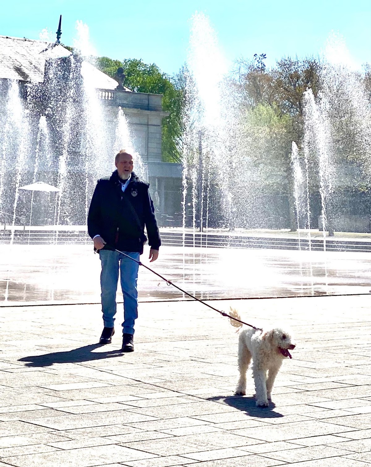 Timsdogcenter