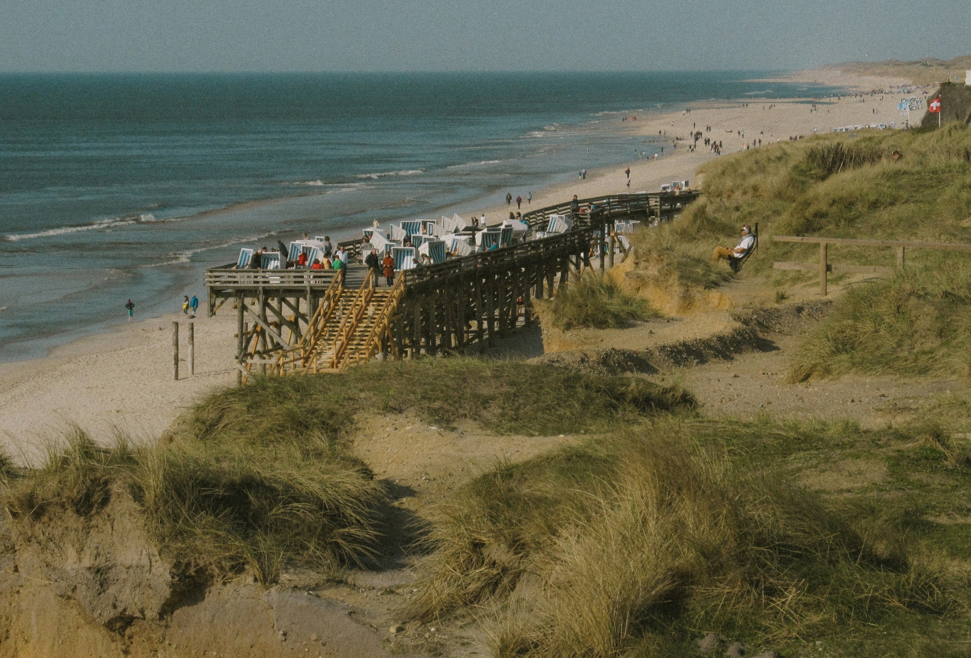 Urlaub mit Hund auf Sylt 2026: Die 5 schönsten Hundestrände & Reisetipps