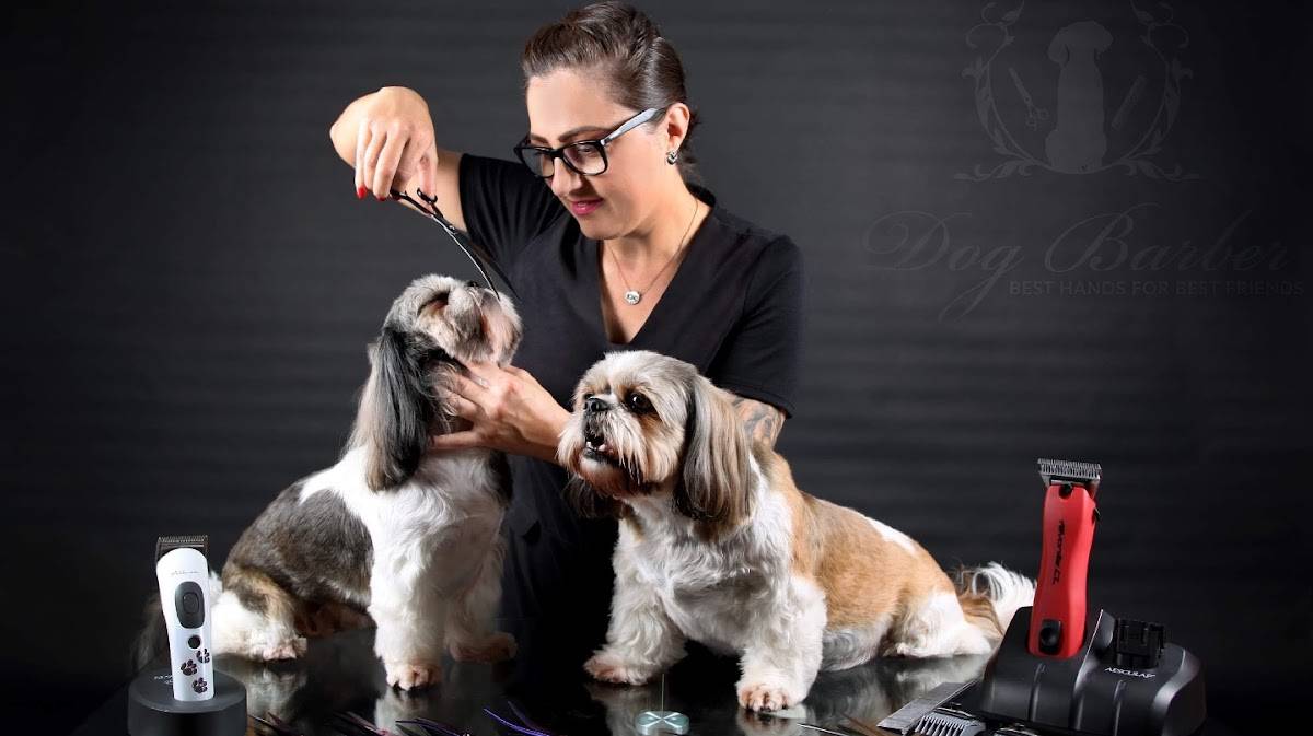 Professional Hundefriseur/-stylist Dog Barber BESTE HANDS FOR BEST FRIENDS