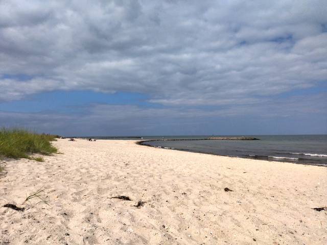 Hundestrand
