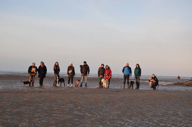 Hundezentrum Dog and You Ann-Christin Kammer