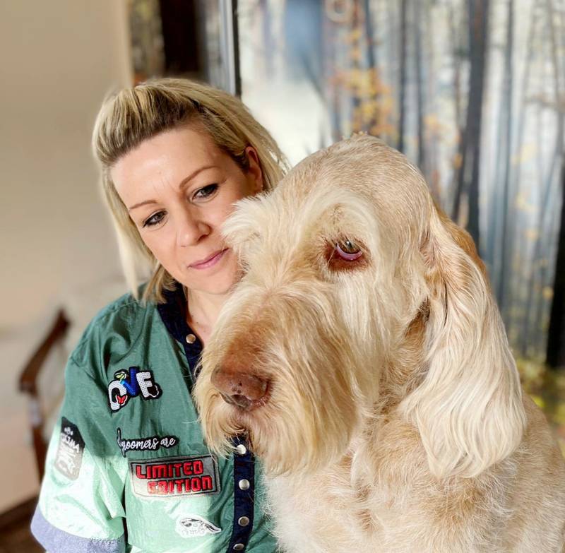 Hundesalon FellArt