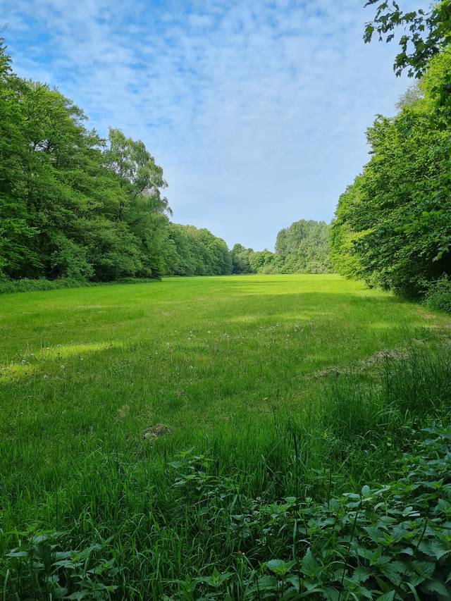 Hundewiese Eisbahn