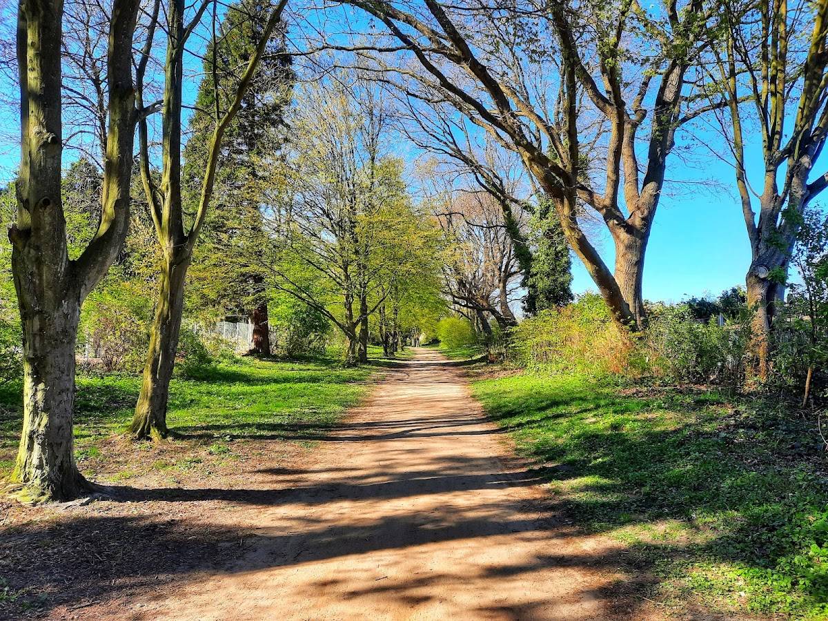 Hundeauslaufzone