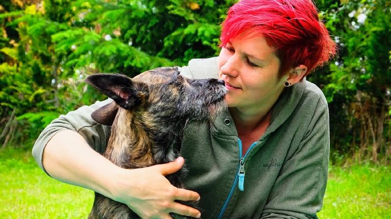 Tiertherapie Bergauf Hundephysiotherapie Sporthundetherapie Tierosteopathie Tierheilpraxis Tierakupunktur TCM TCVM