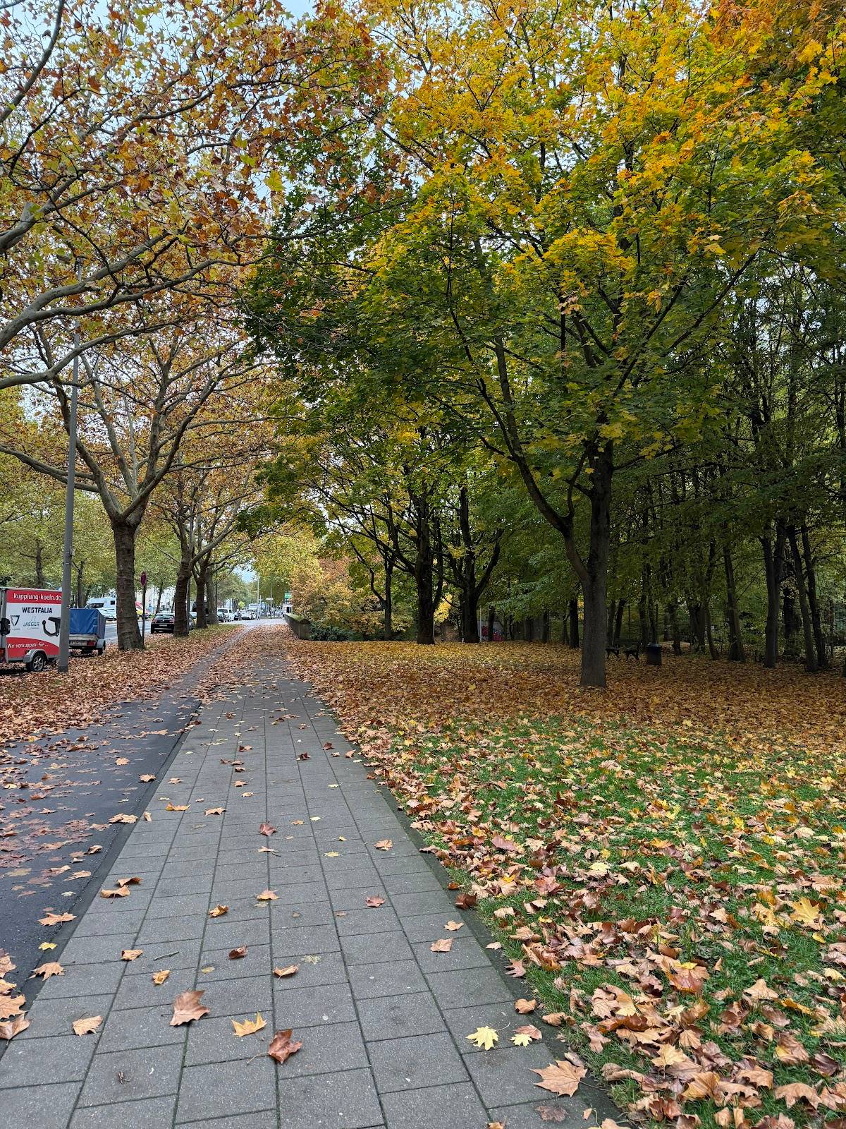 Hundefreilauffläche Markusstraße