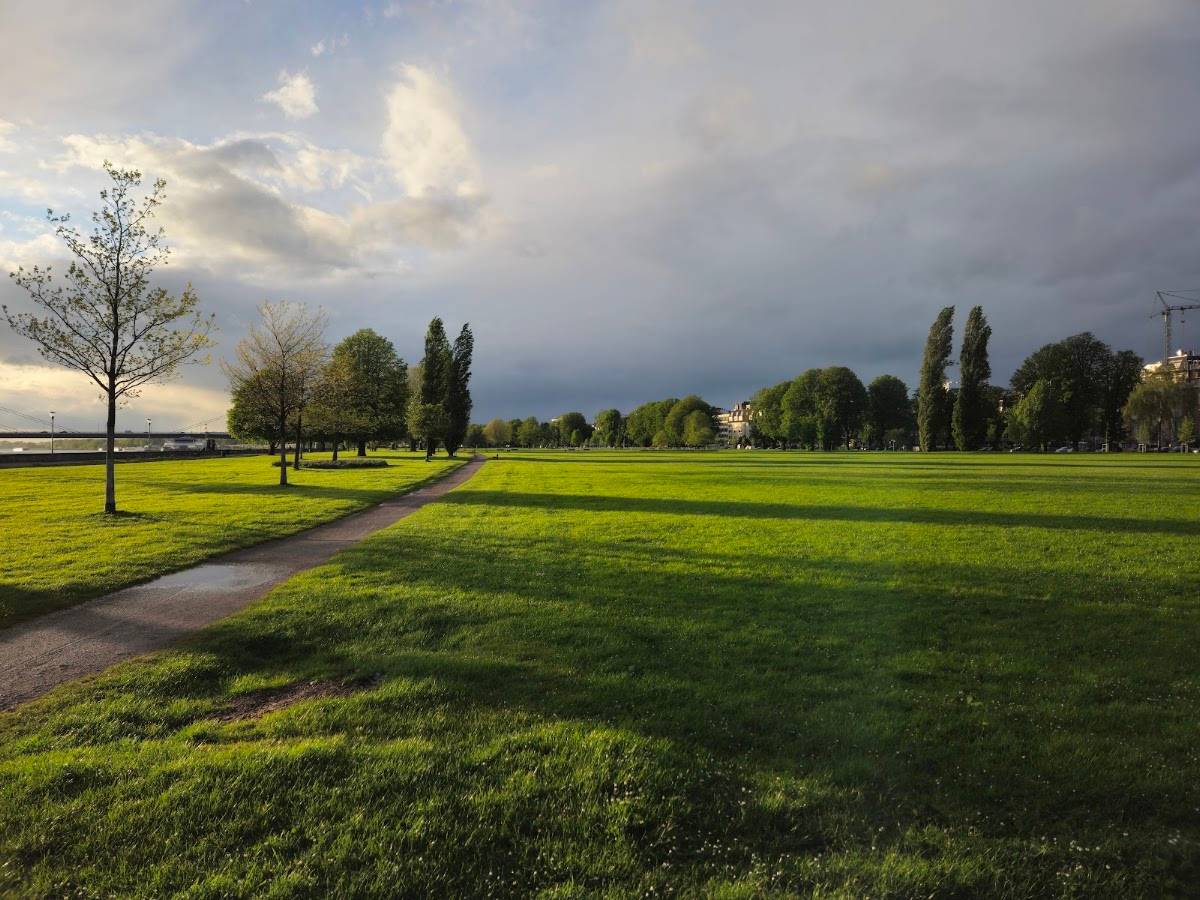 Hundewiese Rheinpark
