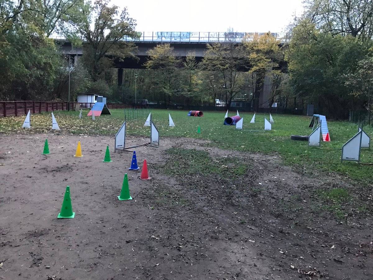 Die-Hundemenschtrainer