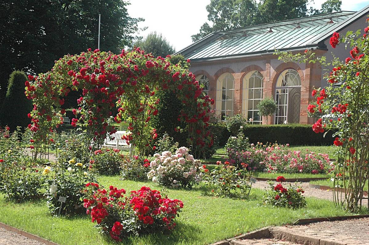 Stadtpark Lahr
