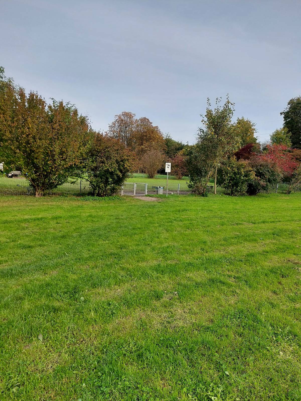 Hundeauslauf Hundewiese
