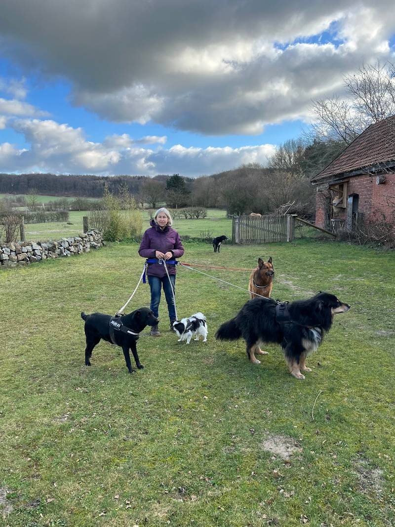 Hundepension Tonk